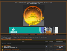 Tablet Screenshot of carpbih.bboard.de